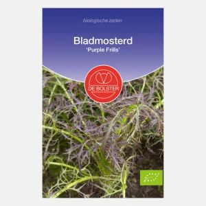 Moutarde en feuilles 'Purple Frills' BIO