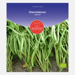 Haricot vert régulier 'Domino' BIO