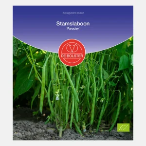 Haricot vert régulier 'Faraday' BIO