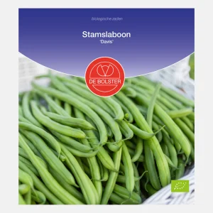 Haricot vert standard 'Davis' BIO