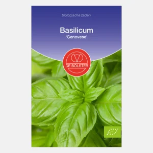 Basilic 'Genovese' BIO