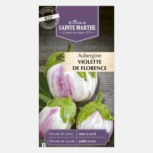 Aubergine 'Violetta di Firenze' Graines biologiques
