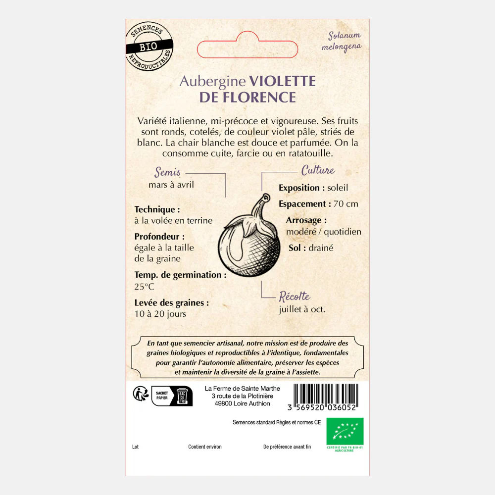 Aubergine 'Violetta di Firenze' Graines biologiques – Image 2