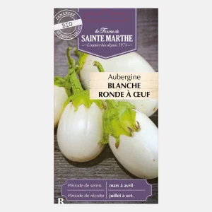 Aubergine en pot 'Blanche ronde à oeufs' BIO