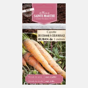 Ruban de graines de carotte 'Colmar' 2 BIO