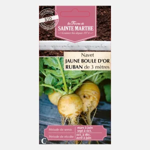 Ruban à graines de navet 'Jaune Boule D'Or' BIO