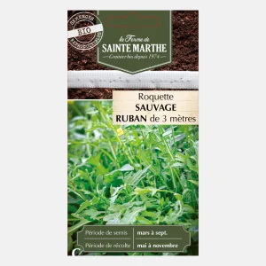 Ruban de graines de roquette sauvage BIO
