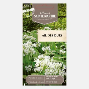 Ail des ours BIO