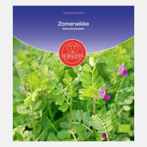 Vesce d'été - Engrais vert BIO