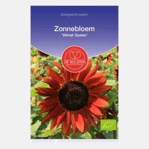 Tournesol 'Velvet Queen' BIO