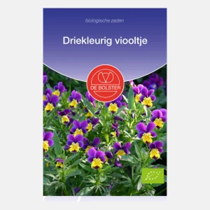 Violette tricolore BIO