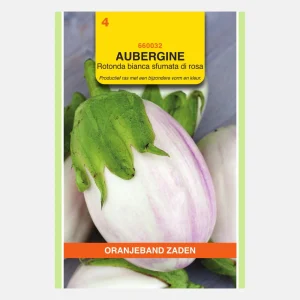 Aubergine 'Rotonda blanche succulente rose'