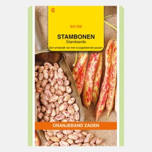 Haricot nain Haricot vanneau