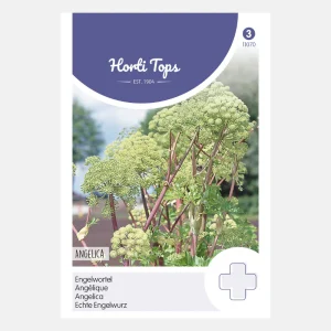 Angélique 'Angelica'