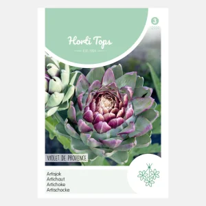 Artichaut 'Violet De Provence'