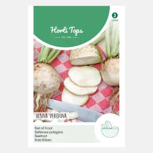 Betterave rouge 'Albina Vereduna'