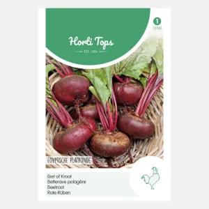 Betterave rouge 'Egyptian Flat Round'