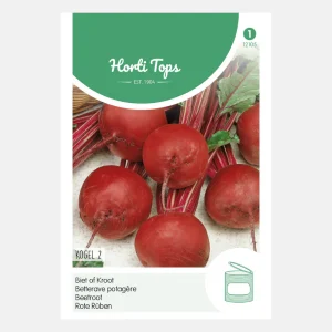 Betterave rouge 'Detroit 2'