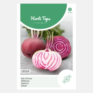 Betterave rouge 'Chioggia'