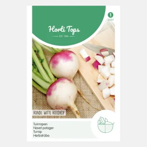 Navets 'Round White Redhead'