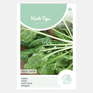 Bette à carde 'Green Common' - vert