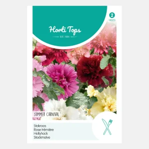 Rose trémière « Carnaval d'été »