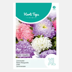 Aster d'acier - fleur de pivoine, mixte