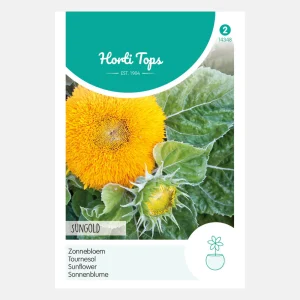 Tournesol 'Sungold' - fleur double, basse