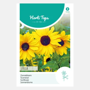 Tournesol 'Yellow Stella Miniature'