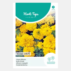 'Jaune suprême' d'Afrique