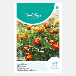 Œillets d'Inde africains 'Petite Harmony'