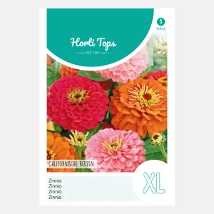 Zinnia 'California Giants' - mixte