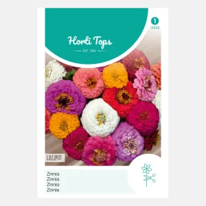 Zinnia 'Liliput/Pompon' - fleur double, mixte