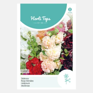 Rose trémière 'Chater's' - à fleurs doubles, mixte