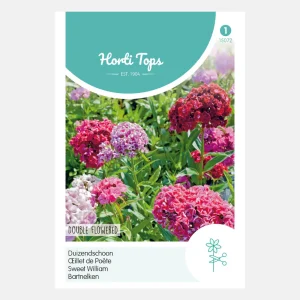 Œillet de poète - mélange de fleurs doubles