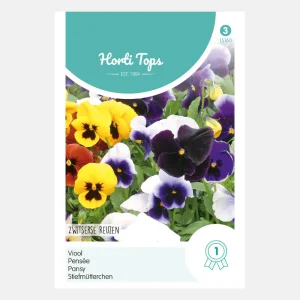 Violette 'Swiss Giants' - mélange