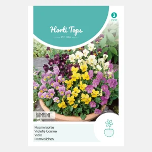 Violette 'Viola Cornuta Bambini' - en mélange
