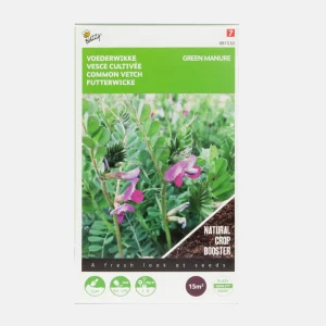 Vesce - Engrais vert
