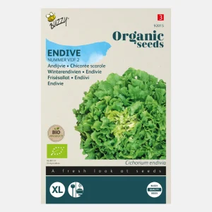 Endive 'Volhart Winter à larges feuilles' BIO