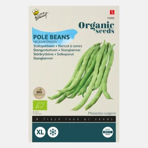 Haricot à rames 'Neckarkönigin' BIO