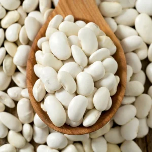 Haricot à rames Haricot Maïs type tarbais