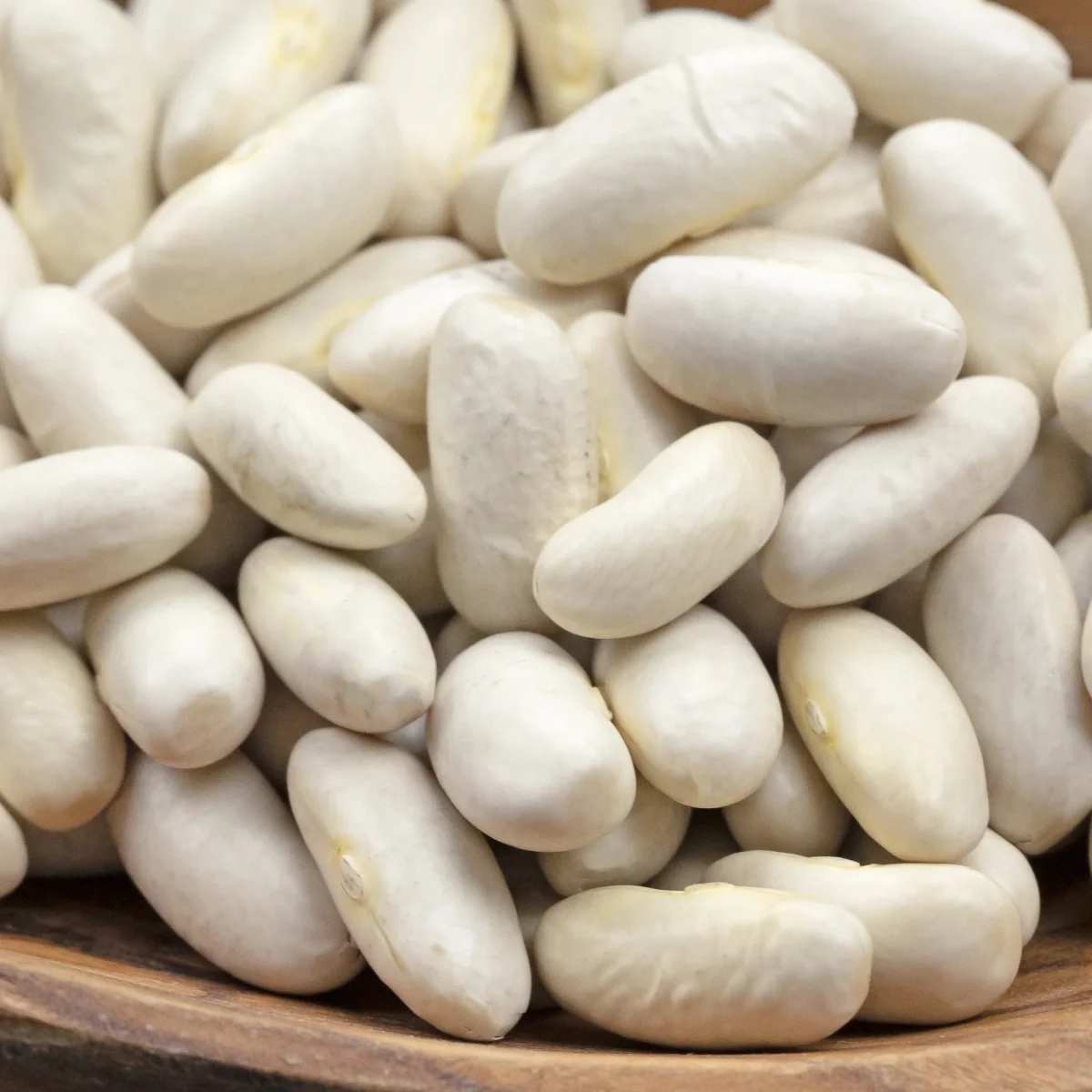 Haricot à rames Haricot Maïs type tarbais – Image 3