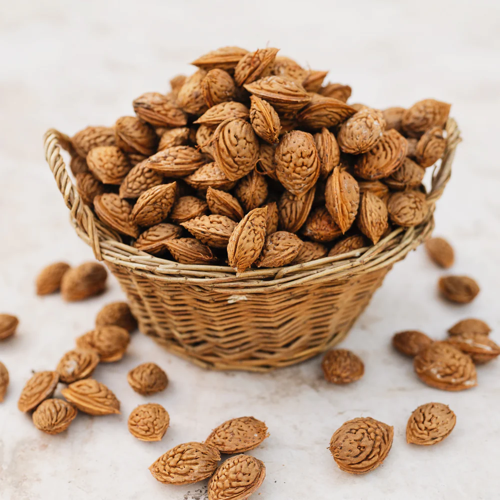 Amandier 'Robijn' - Racine nue – Image 4