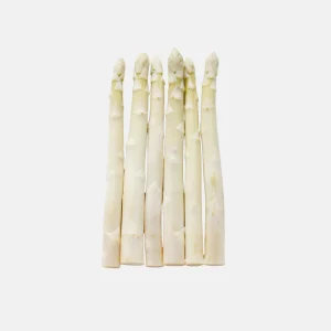 Asperge blanche 'Grolim' BIO