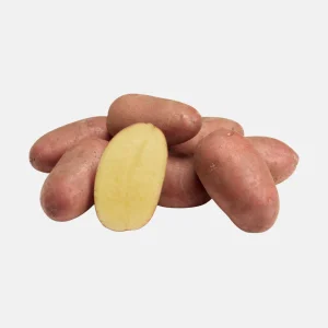 Plant BIO Pomme de Terre Annabelle 28/32 précoce - Culture compacte très précoce (choisir le poids)