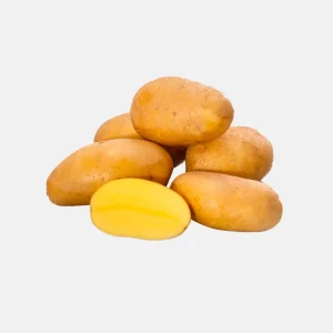 Plant BIO Pomme de Terre Annabelle 28/32 précoce - Culture compacte très précoce (choisir le poids)