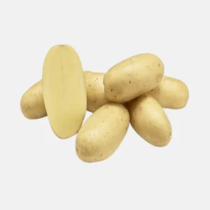 Plant BIO Pomme de Terre Annabelle 28/32 précoce - Culture compacte très précoce (choisir le poids)