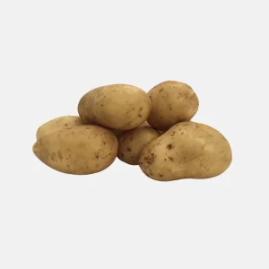 Plant BIO Pomme de Terre Annabelle 28/32 précoce - Culture compacte très précoce (choisir le poids)