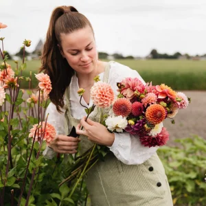 Coffret de dahlias « Les 13 préférés de Merel »