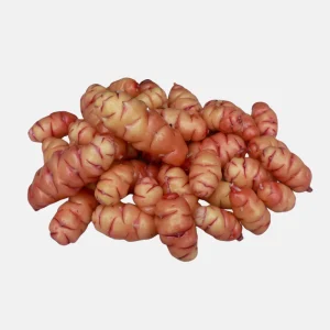 Oca (Oxalis tuberosa) - 10 tubercules